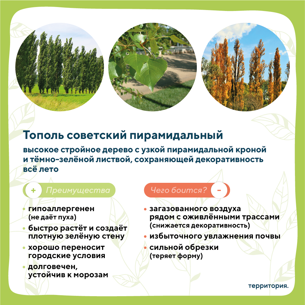 атлас растений 2 (2).png