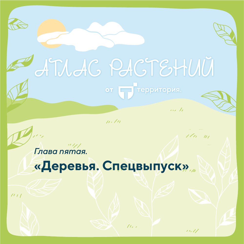 атлас растений 1 (2).png